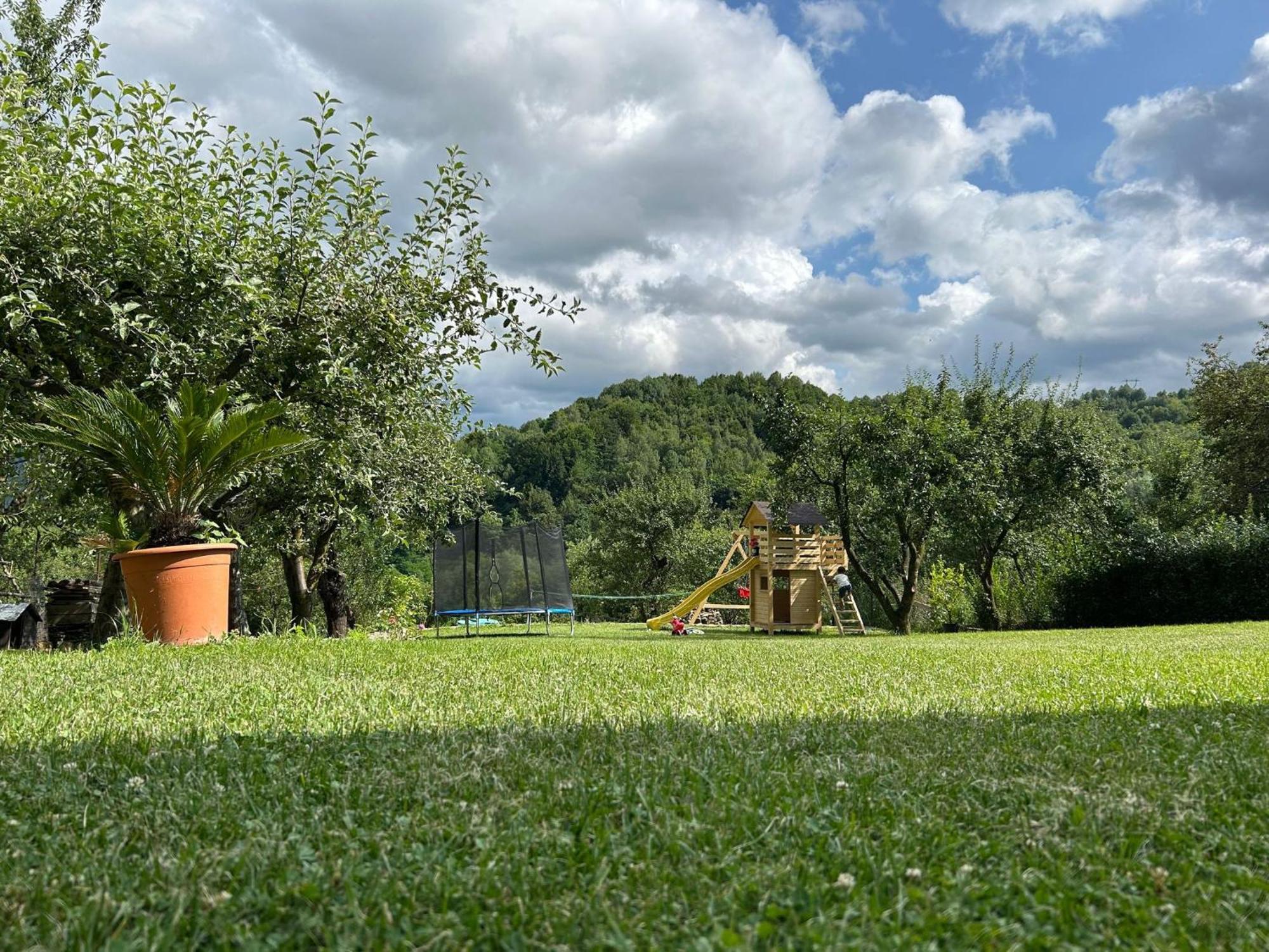 Vila Ella Villa Capatineni-Ungureni Exterior photo